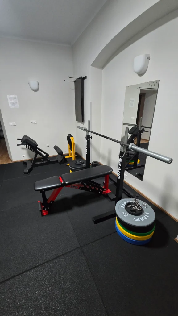 studio solec sala treningowa i sprzęt